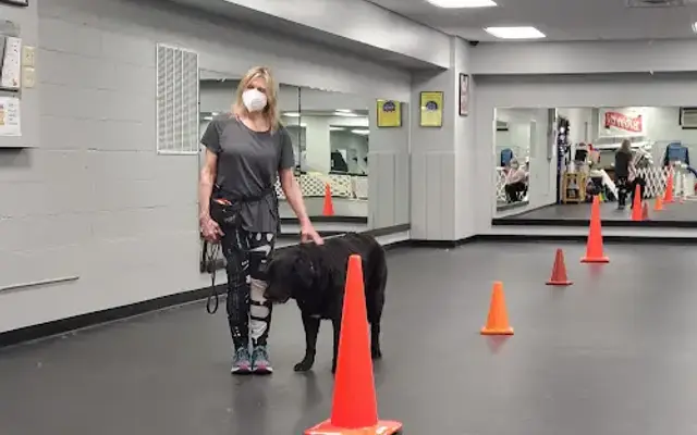 High Point K-9 Center LLC in Middletown, NY