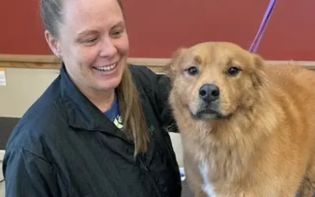 Pet Supplies Plus Cuyahoga Falls Grooming in Cuyahoga Falls, OH