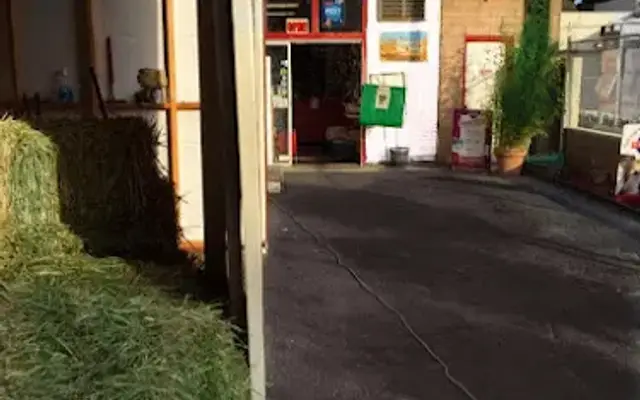 Alley Pets-Feed, Grooming & Pet Supplies in Carpinteria, CA