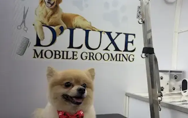 DLUXE MOBILE GROOMING in San Mateo, CA