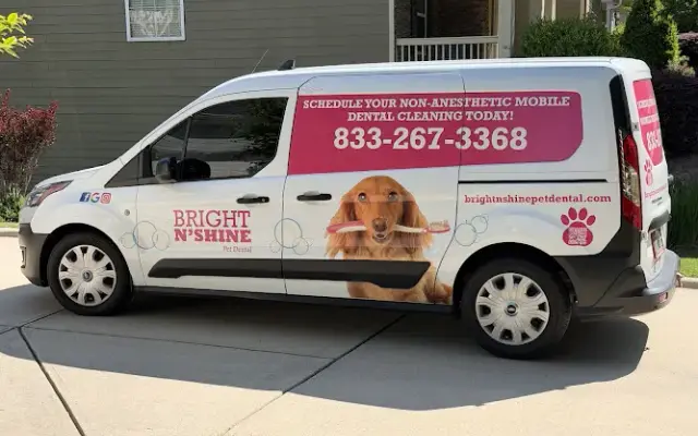 Bright N' Shine Pet Dental of Atlanta in Smyrna, GA