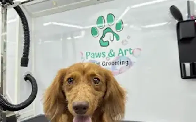 Paws & Art Mobile Pet Grooming in Davie, FL