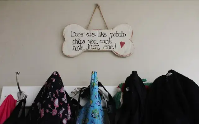 Fluffy Puppy Grooming Spa in Hamburg, NY