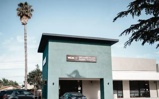 VCA Orchard Plaza Animal Hospital in San Jose, CA