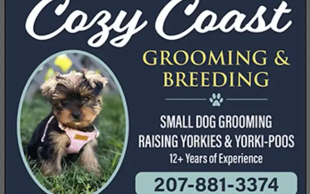 Cozy Coast Grooming & Breeding in Bucksport, ME