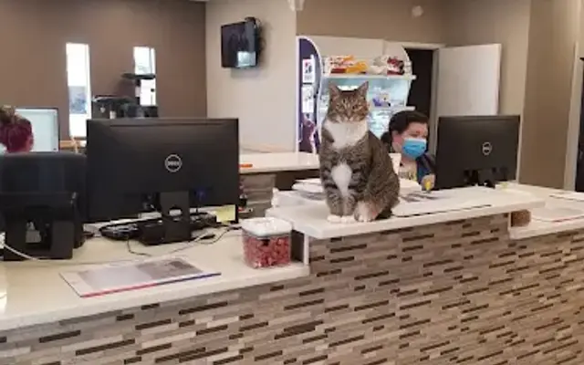 Two Notch Road Animal Clinic in Columbia, SC