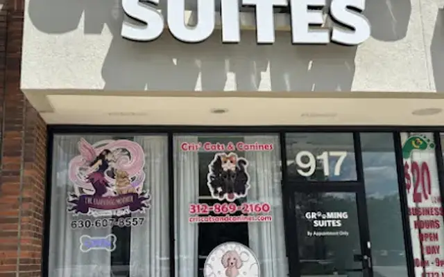 The Fairy Dog Mother Grooming & Spa in Schaumburg, IL