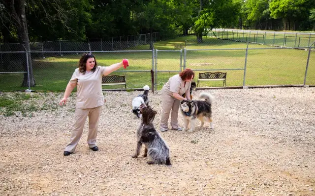 Texas Tails Pet Ranch & Spaw in Cleburne, TX