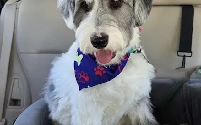 Wild Things Pet Salon in Grass Valley, CA