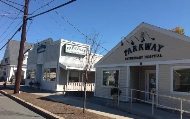 Parkway Veterinary Hospital in West Roxbury, MA