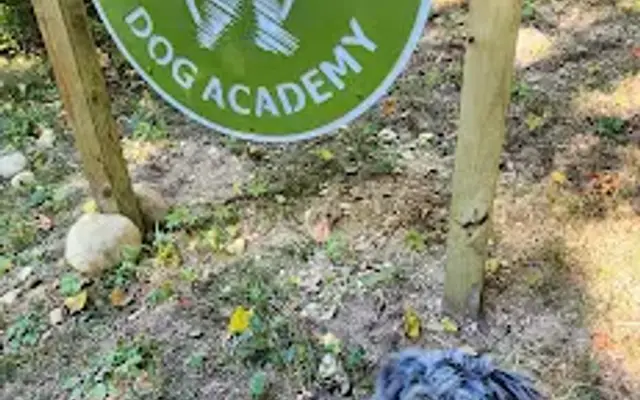 Woodland Dog Spa in Middlebury, IN