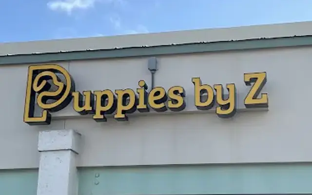 Puppies by Z. in Miami, FL