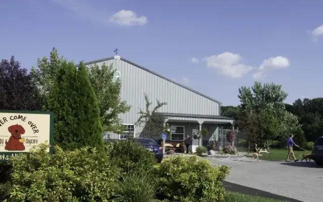 Rover Come Over Doggy Daycare in Monclova Township, OH