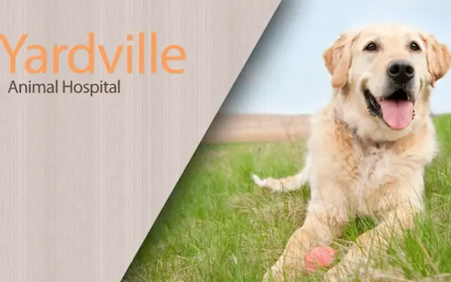 Yardville Animal Hospital in Hamilton Township, NJ