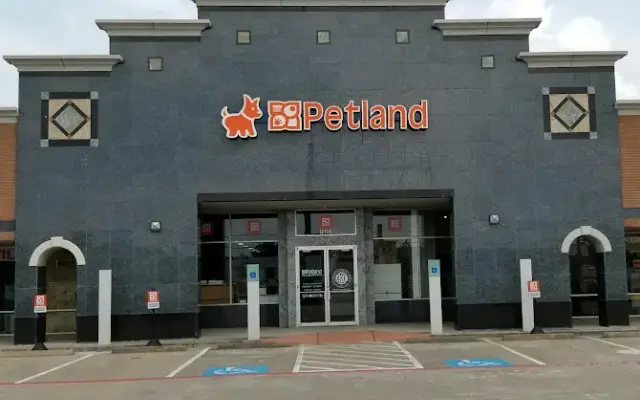 Petland Woodlands in Shenandoah, TX