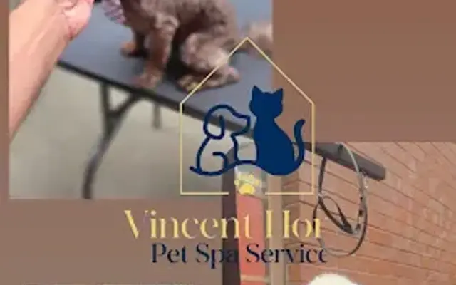 Vincent Home Pet Spa Services in Brooklyn, NY