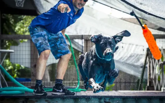 Club Canine Houston LLC in Houston, TX