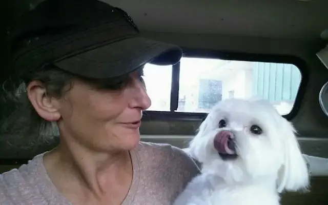 Sunny Dawn Mobile Grooming in Sarasota, FL