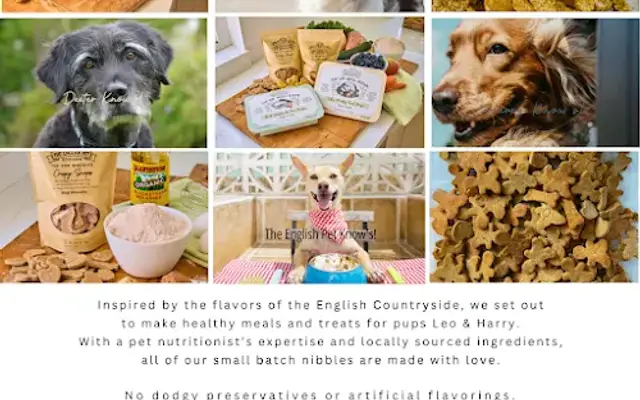 The English Pet in Mission Viejo, CA