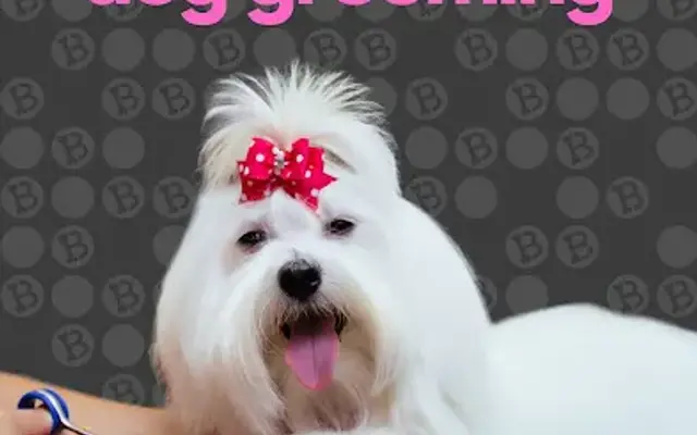 bark! bark! boutique and grooming in Long Beach, CA