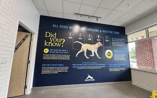 Scenthound Fort Mill in Fort Mill, SC