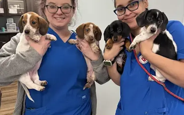 Florence Animal Hospital in Florence, SC