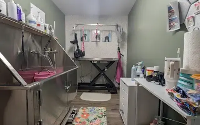 Puddle Pups Spa LLC in Tipp City, OH
