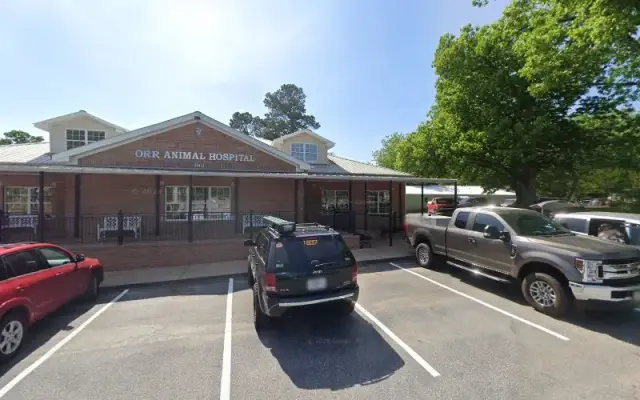 angel clips and dips in Cumming, GA