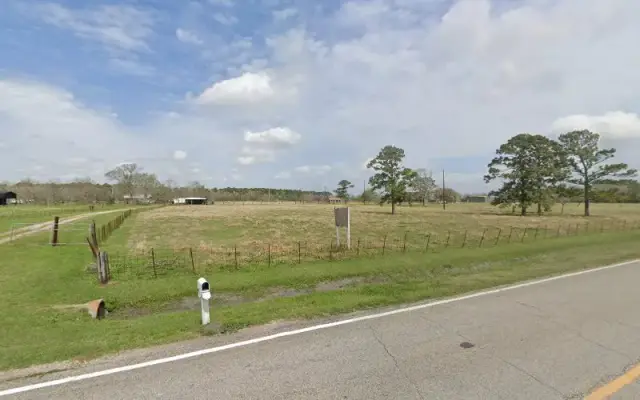 Golden Retriever Camp in Huffman, TX
