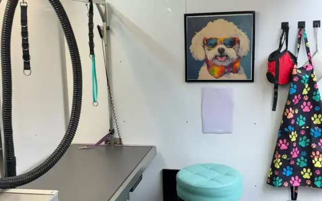 The Sudsy Pup llc in Jefferson, OR