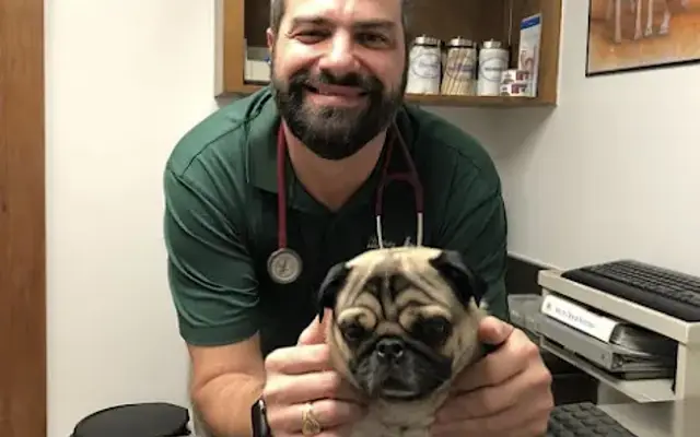 Westlake Animal Hospital, A Thrive Pet Healthcare Partner in Austin, TX