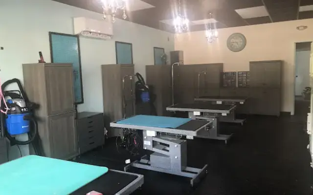 Pawsh Boutique, Spa & Daycare in Sarasota, FL