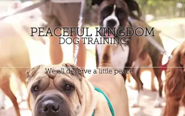 Peaceful Kingdom Dog Training in Ann Arbor, MI