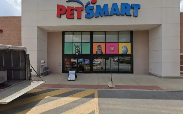 PetSmart Grooming in Temple, PA