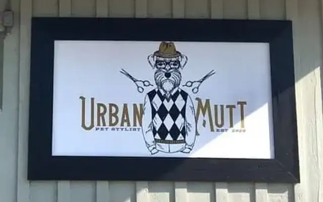 Urban Mutt in New Braunfels, TX