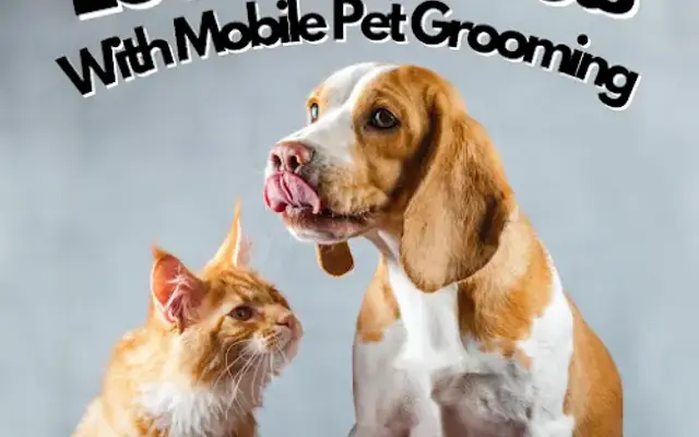 Lau Mobile Pet Grooming Services in Southwest Ranches, FL