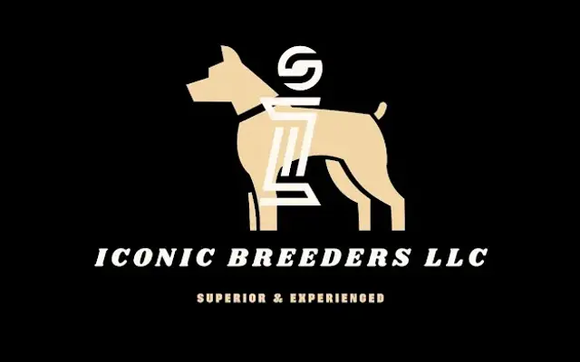 Iconic Breeders & Grooming in Belleview, FL