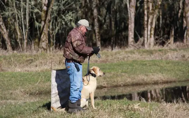 Coyote Creek Retrievers | Training • Breeding • Boarding in Eugene, OR
