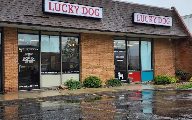 Lucky Dog Grooming in Alton, IL