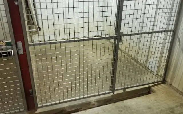 Hilltop Groomer & Kennel Service in River Falls, WI