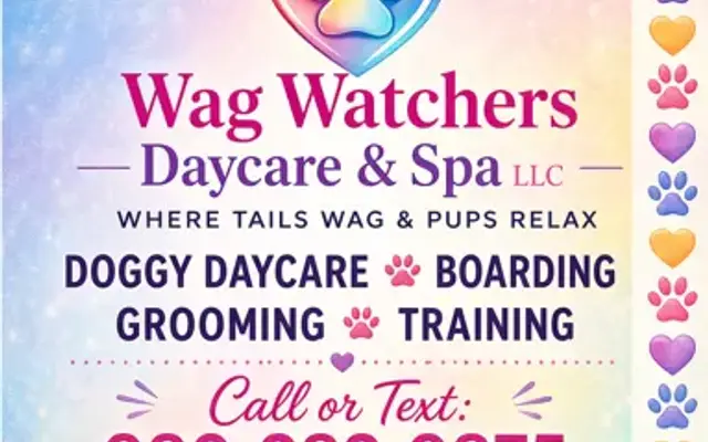 Wag Watchers DayCare & Spa LLC in Lincolnton, NC