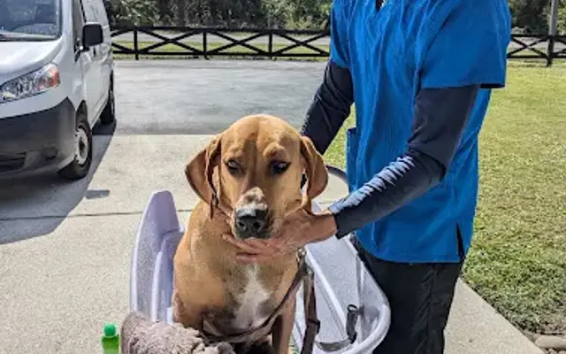Dorian’s Mobile Pet Care (Ruff-Pup) in Palmetto, FL