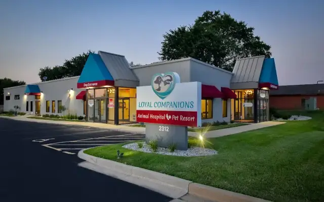 Loyal Companions in St. Charles, IL