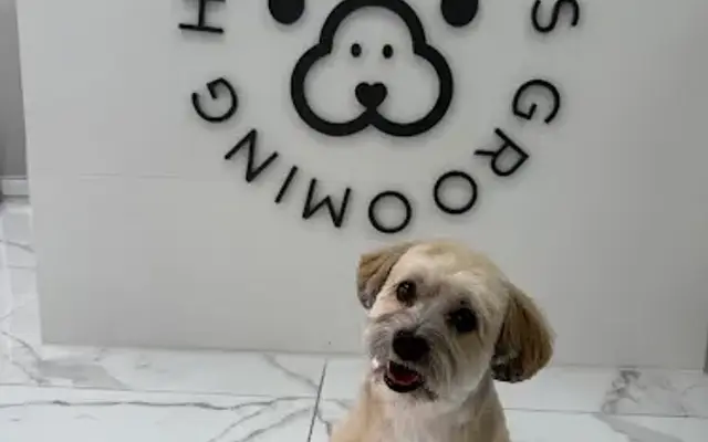 Happy Paws Grooming in Fort Lee, NJ