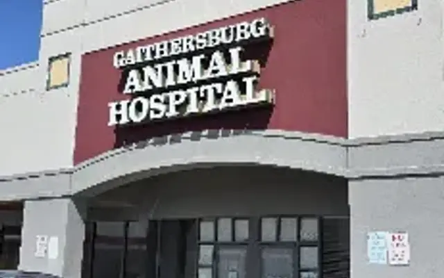 Gaithersburg Animal Hospital in Gaithersburg, MD