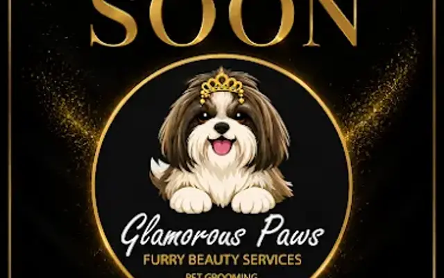 Glamorous Paws LLC in Randolph, NJ