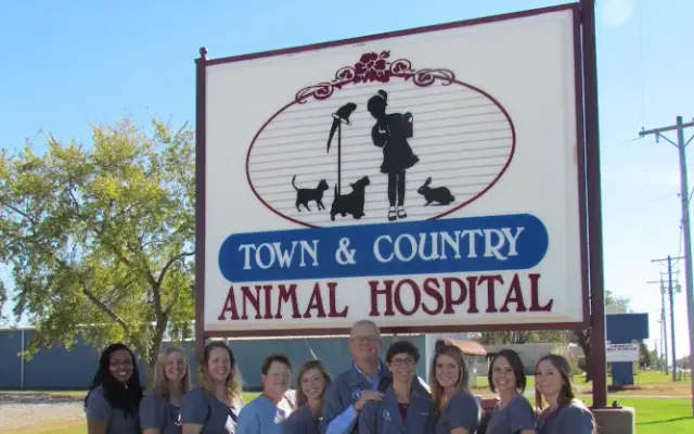 Town & Country Animal Hospital in Frontenac, KS