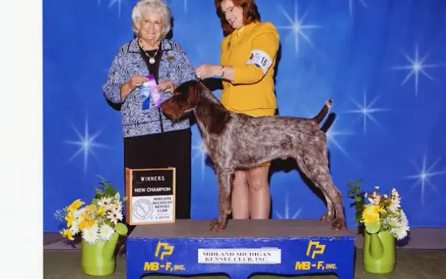 Lori Sargent, Professional Dog Handler in Charlotte, MI
