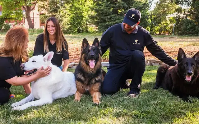 Fur Babies A-Z in San Martin, CA