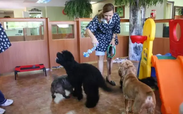 Magic Grooming & Pet Resort in North Bay Village, FL